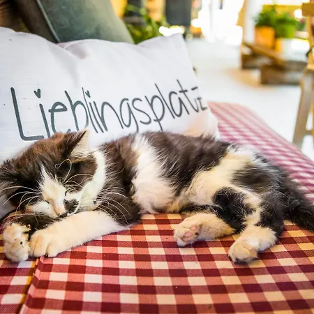 Bauernhof Unterlehengut