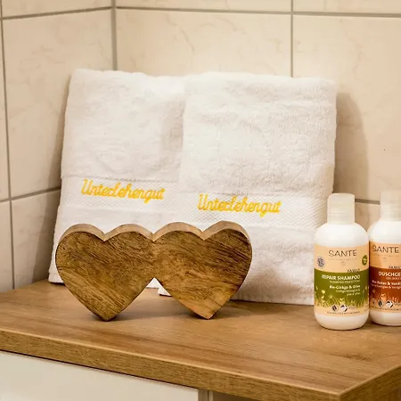 Unterlehengut Flachau