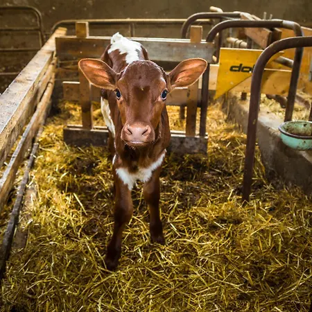 Unterlehengut Farmház