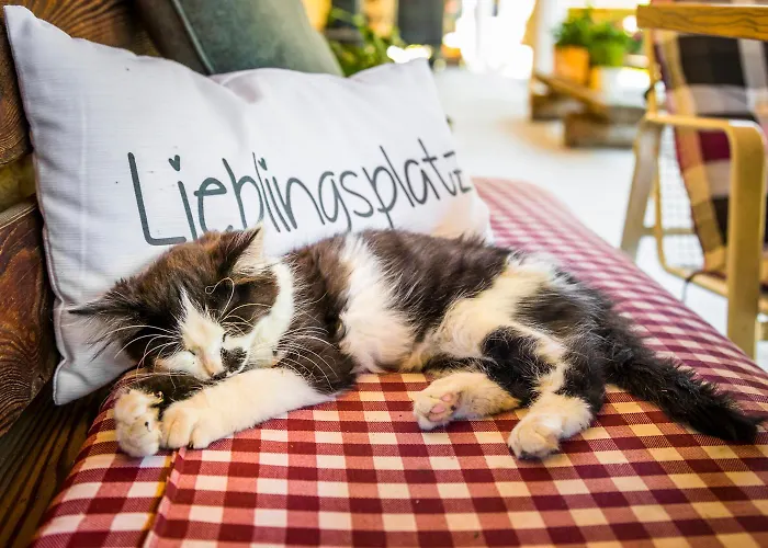 Séjour à la ferme Unterlehengut